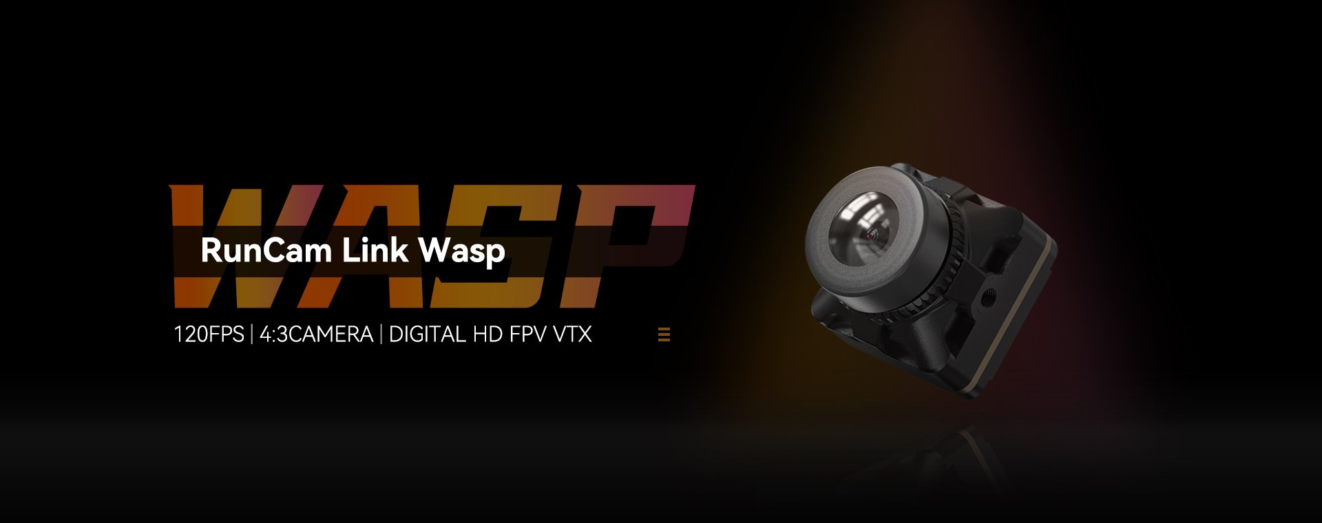 RC Wasp Banner
