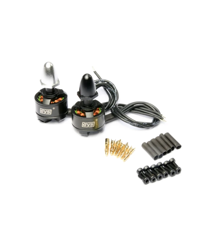 DYS BX1306 Brushless Motor CW/CCW Set - Image 1