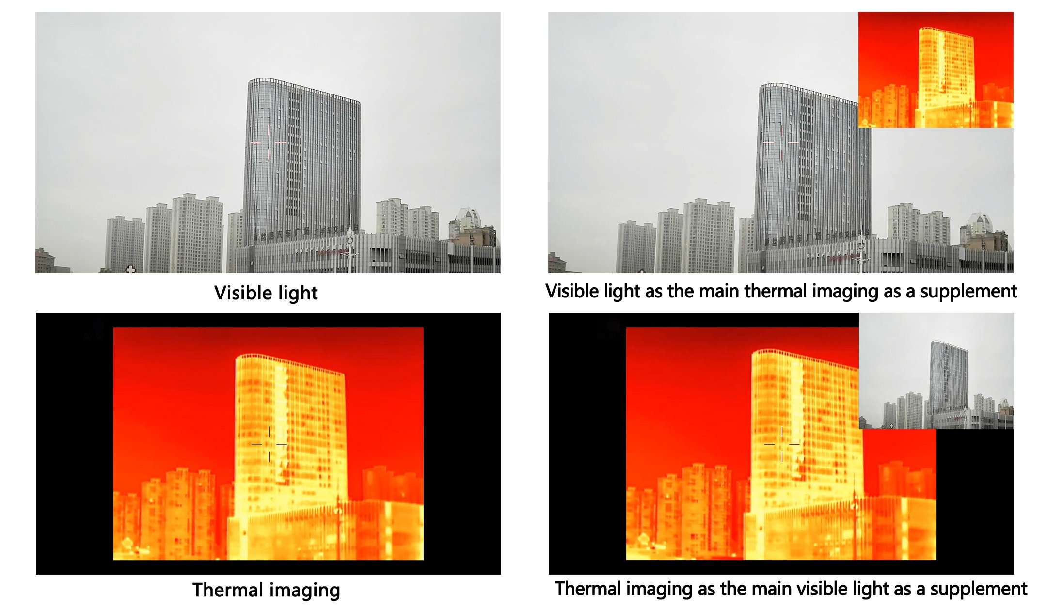 TL300M10 Dual Camera Picture in Picture