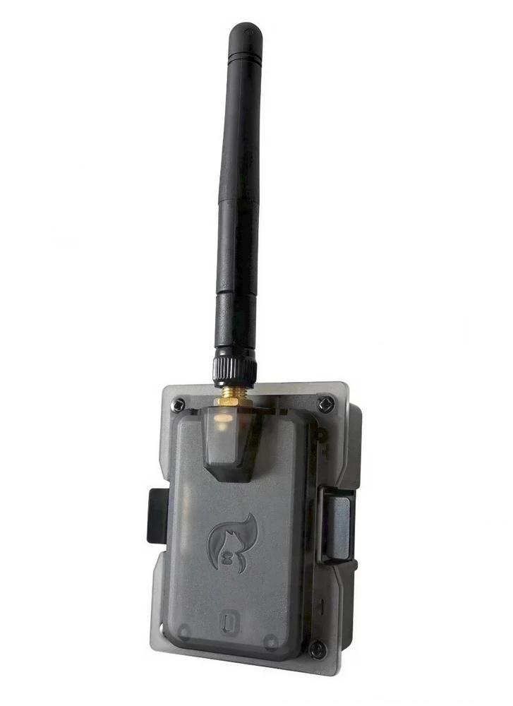 Jumper JP4IN1 Pro