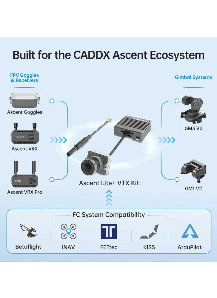 Ascent Ecosystem
